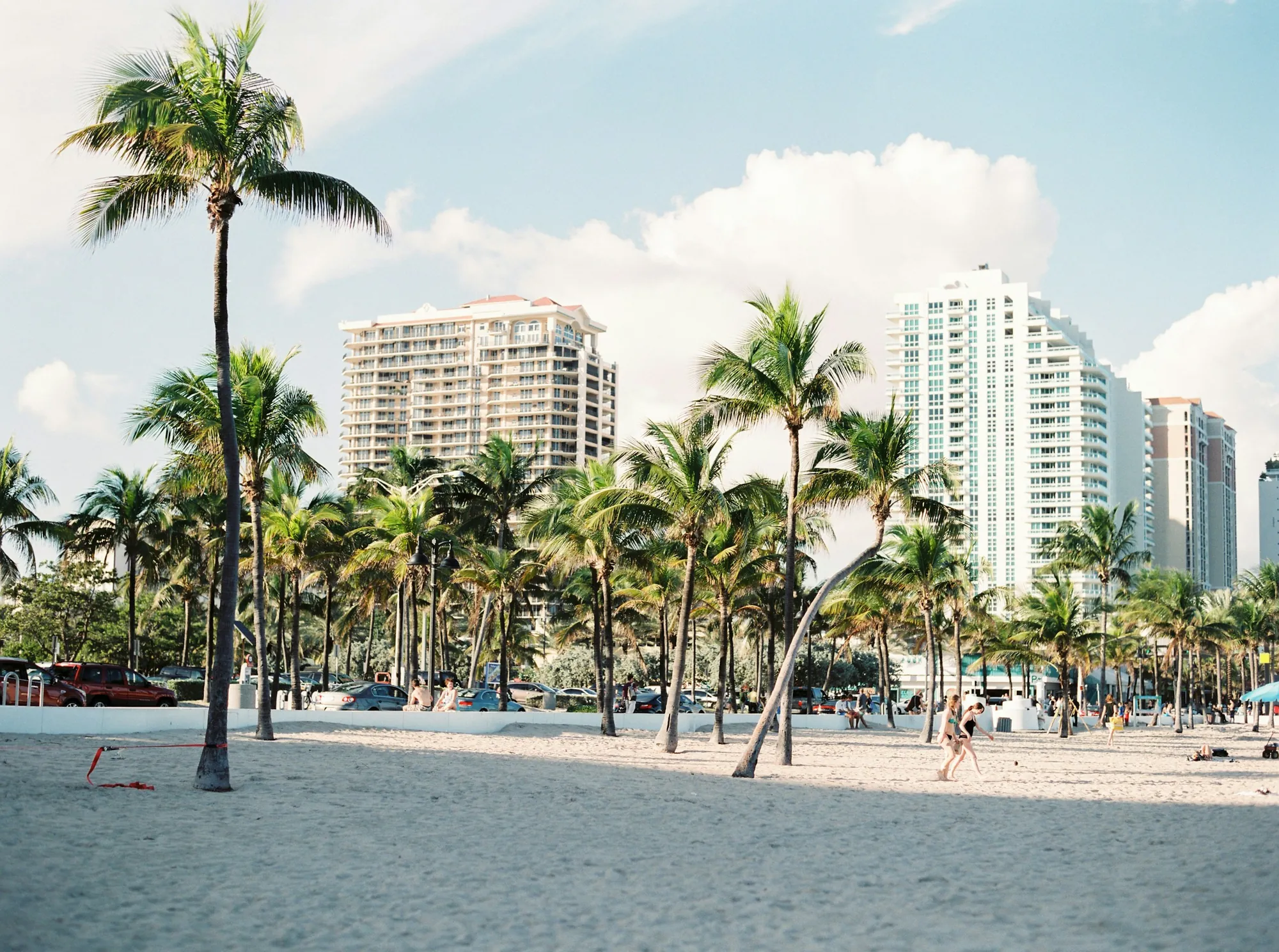 Palms and white sand on Miami Beach, hotels behind