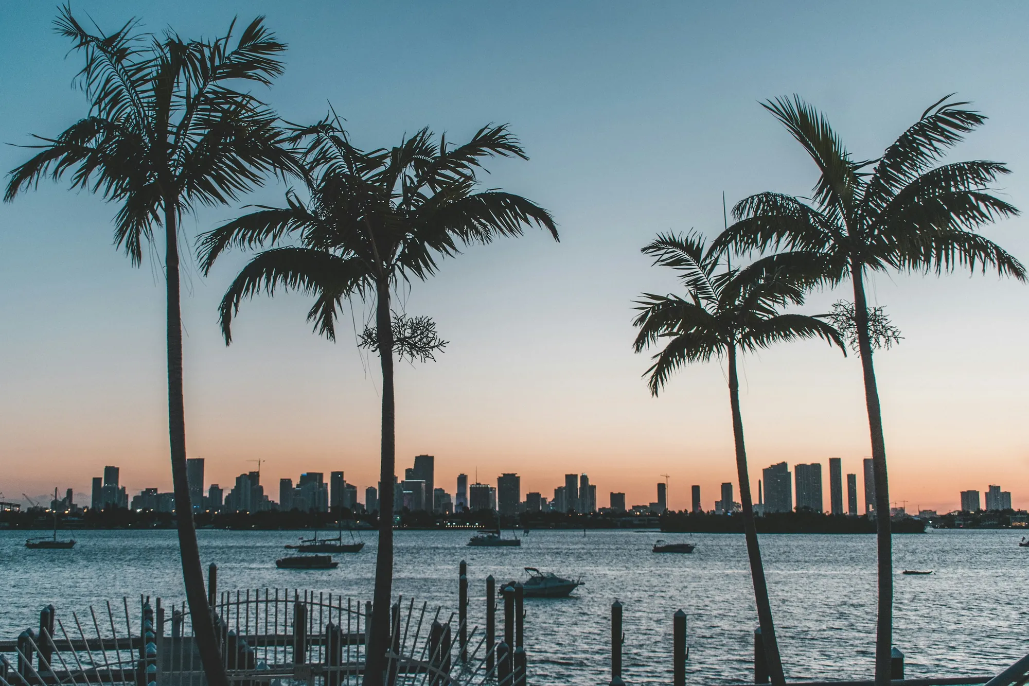 Palm silhouettes against the Miami skyline at sunset