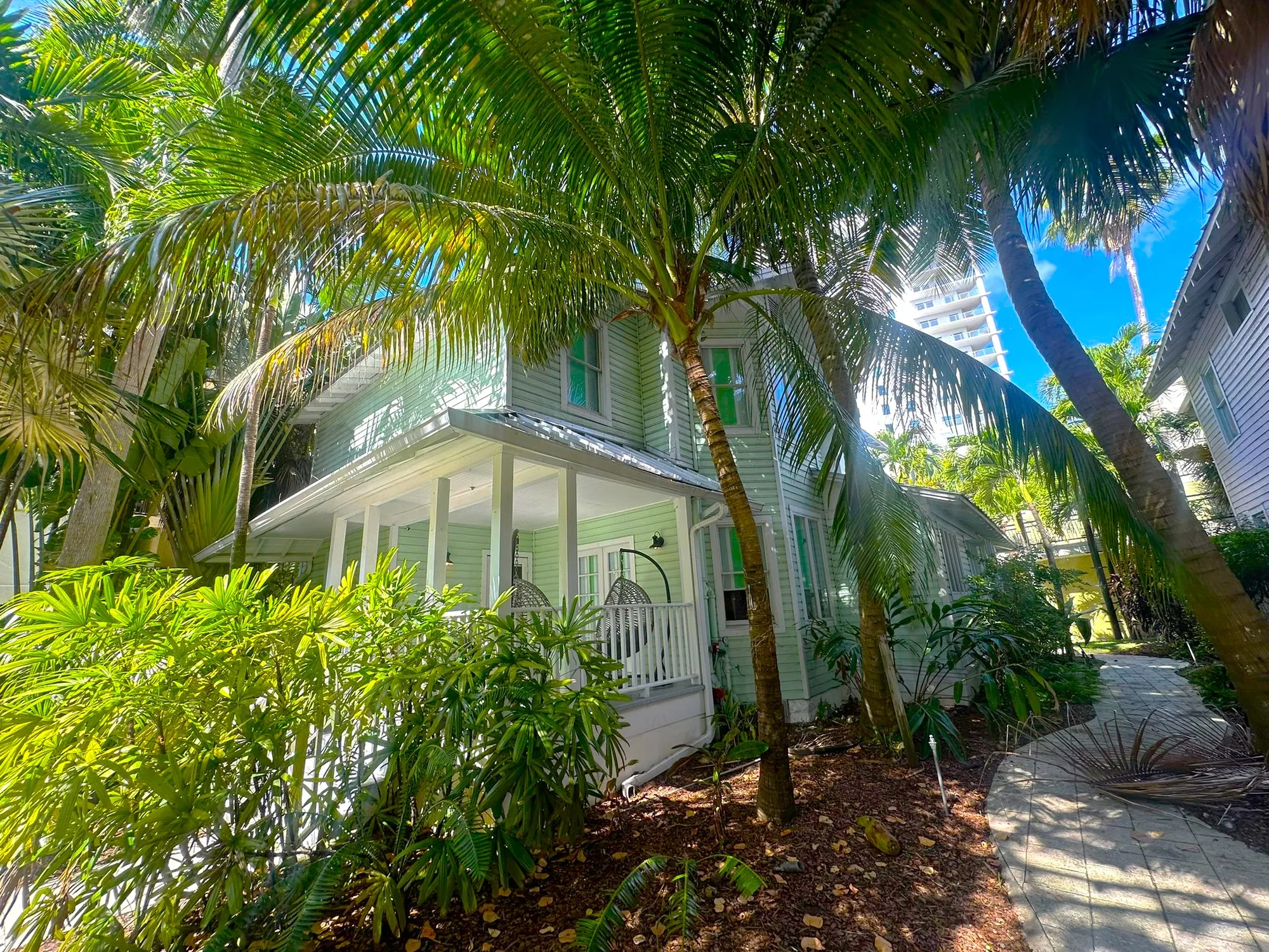 A path curving through tall palms between the cottages
