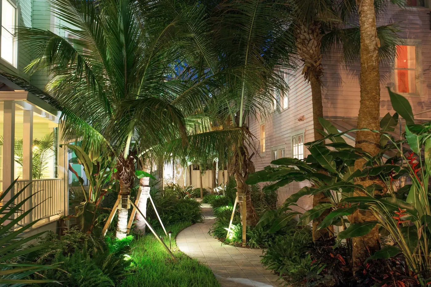 The garden path lit low between the palms late at night
